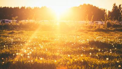 Kesäinen niitty auringonlaskun aikaan.